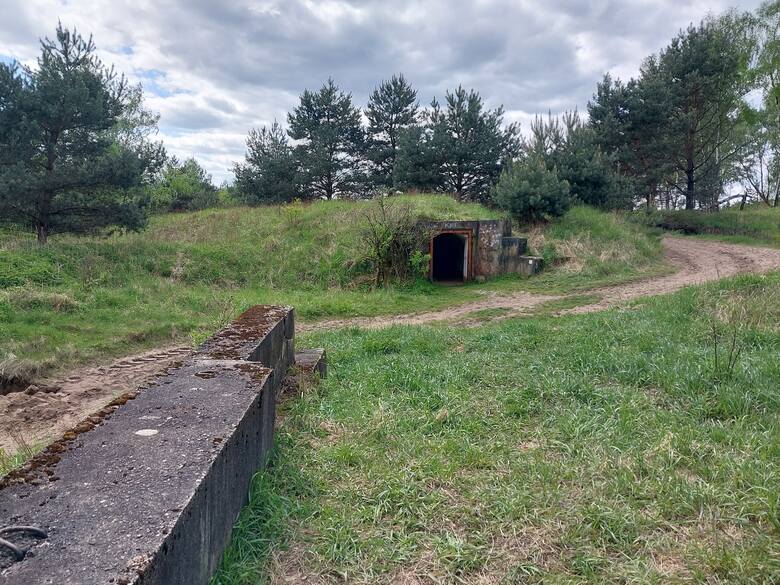 Bunkry w dolnośląskim lesie zapomniane przez świat. "Podziemne miasto" pełne tajemnic