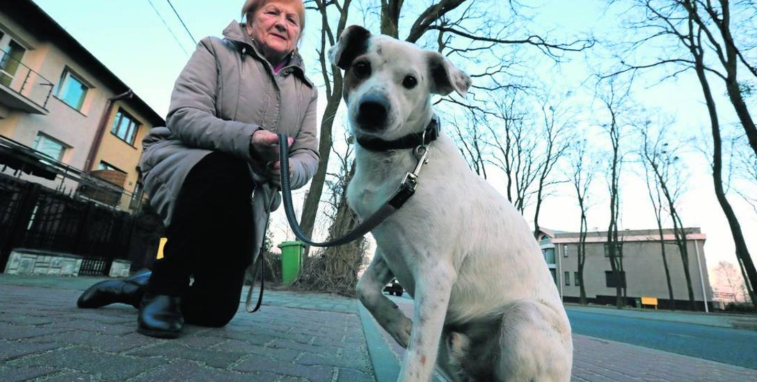 Krystyna Górska serdecznie dziękuje za uratowanie psa panu Julianowi, weterynarzowi i schronisku