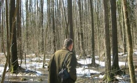 Kompleks wilgotnych lasów olchowych w rezerwacie "Oleszno I" to unikat na skalę całego kraju, a może i Europy.