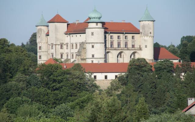 Zamek w Wiśniczu zainstaluje szyby fotowoltaiczne w oknach Sali Balowej. To innowacyjne rozwiązanie 