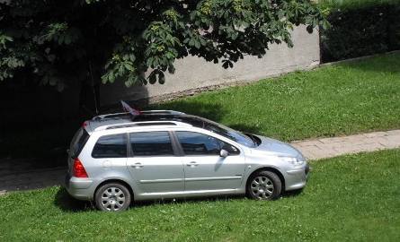 Poco stawiać auto na parkingu, skoro można na trawniku przed klatką schodową. Do takiego wniosku doszedł kierowca tego samochodu.