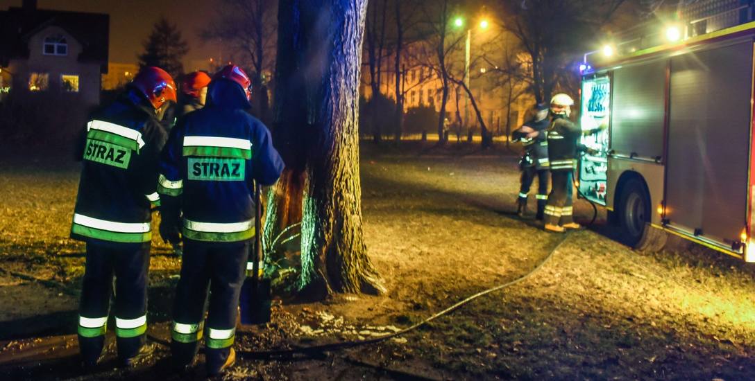 W Bydgoszczy doszło do pożaru altanki.