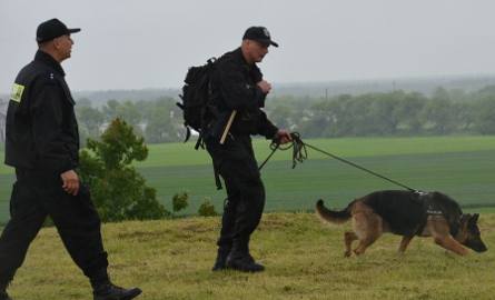 W poszukiwaniu przestępcy pomagała mundurowym policyjny pies tropiący.