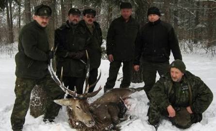 Strażnicy z Nadleśnictwa Suchedniów ze znalezionym, skłusowanym jeleniem.