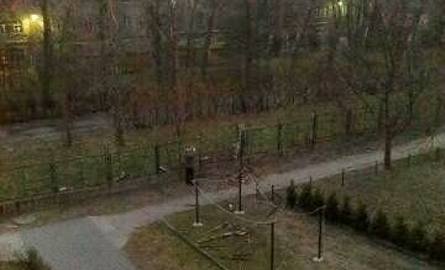 Powalone drzewo uszkodziło ogrodzenie przy ul. Gałczyńskiego w Toruniu
