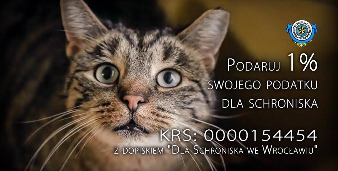 Prosimy, pomóż Podopiecznym wrocławskiego Schroniska dla Bezdomnych Zwierząt!