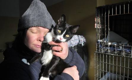 W zielonogórskim schronisku mieszka 10 kotów. - Wszystkie mają ciepło, zimę spędzają w kociarni - mówi opiekunka Monika Wiszniewska.