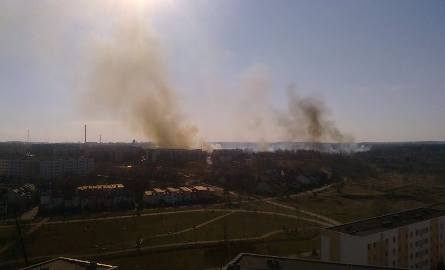 Ogień był w sobotę między innymi na osiedlu Południe w Radomiu. W akcji brało udział pięć jednostek straży pożarnej. Tak sytuacja przedstawiała się o