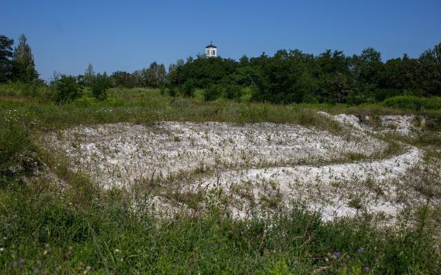 Park na Białych Morzach w Krakowie. Społecznicy stracili cierpliwość, piszą do prezydenta Krakowa