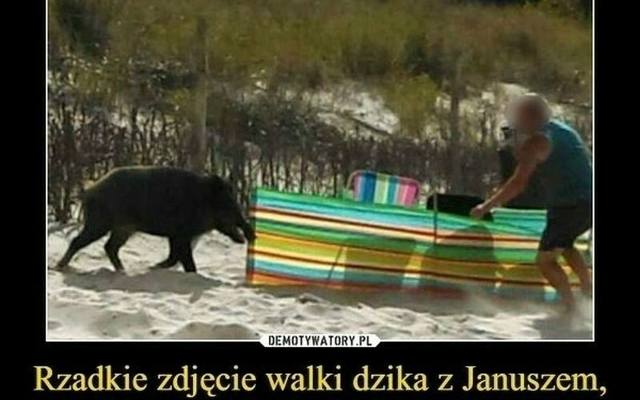 Nareszcie wakacje. Teraz dylemat - jechać w góry czy nad morze? Oto najlepsze memy