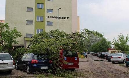 Od wczoraj nie usunęli drzewa, które zwaliło się na samochody. 