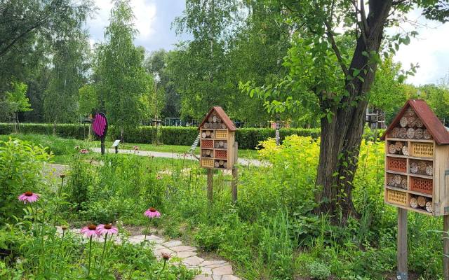 Park i Magnoliowy Zagajnik w krakowskich Łagiewnikach. Trwa rozbudowa wyjątkowej enklawy zieleni