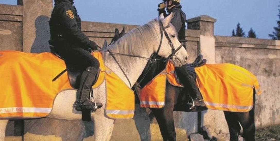 Mobilne  posterunki, patrole na koniach