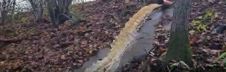 Właściciel działki w Siemirowicach zarzuca gminie Cewice, że spuszczała rurą wodę i zalała teren, który planował sprzedać