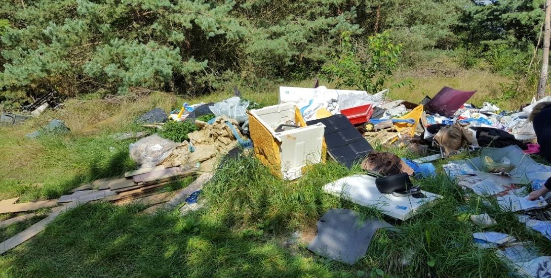 Śmieci znalezione w lesie w okolicy Wypalenisk.