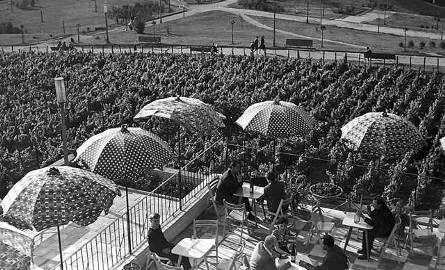 1965 r. - Z tarasu świetnie widać panoramę miasta