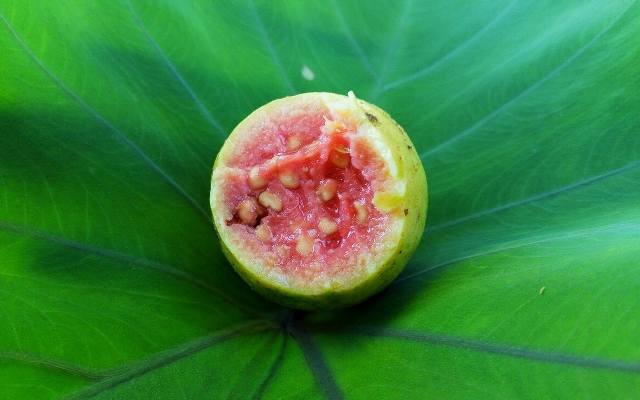 Miąższ gujawy jest różowy. W zależności od stopnia dojrzałości owocu jest słodki lub kwaśny.