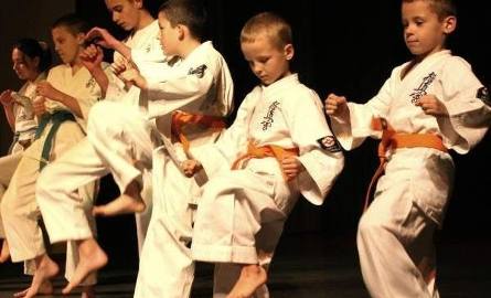Podopieczni Kieleckiej Szkoły Karate Kyokushin udowodnili, że karate to sport dla wszystkich.