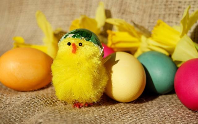 Kurczaczek w wielkanocnej święconce, podobnie jak jajko, jest symbolem nowego życia.