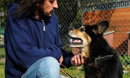 Artur Bąk, kierownik schroniska dla bezdomnych zwierząt w Orzechowcach: Mam nadzieję, że znajdzie się dobry człowiek, który zechce adoptować psa uratowanego
