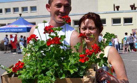 Angelika i Andrzej Klimek kupili ładne pelargonie.