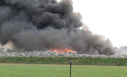 Pożar śmieci w Dąbrówce Wlkp. Strażacy dogaszają ogień (wideo)