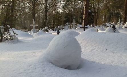 Zielonogórski cmentarz tonie w śniegu 
