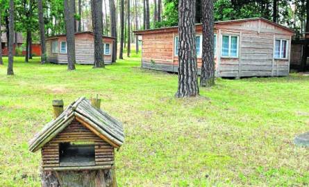 Domki kempingowe w 130-letnim lesie sosnowym to duży atut położonego przy zbiorniku wodnym ośrodka wczasowego Oksa w Chyczy w gminie Radków.
