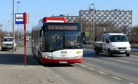 Autobusy linii: 6, 9, 12, 16, 23 i 26 jeżdżą okrężnymi trasami przez ulicę Szarych Szeregów i zatrzymują się na tymczasowych przystankach.