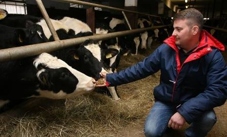 Michał Matuszczyk przyznaje, że sam skorzystał z wielu dotacji unijnych. Dziś jest największym producentem mleka w Świętokrzyskiem. Ma stado 310 sztuk
