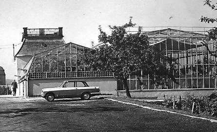 1965 r. - Pierwsza rozbudowa. Powstaje druga hala po prawej stronie