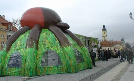 Gigantyczne kolejki na Rynku Kościuszki! (wideo, zdjęcia)