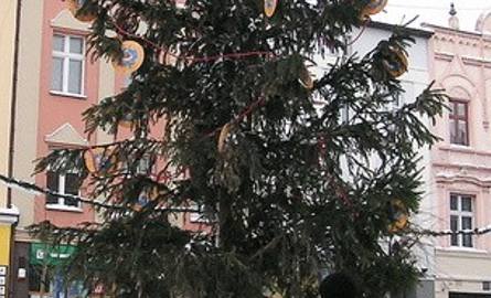 Drzewko podarowane przez UM, obecnie stoi bliżej ratusza (w lewym roku Rynku)