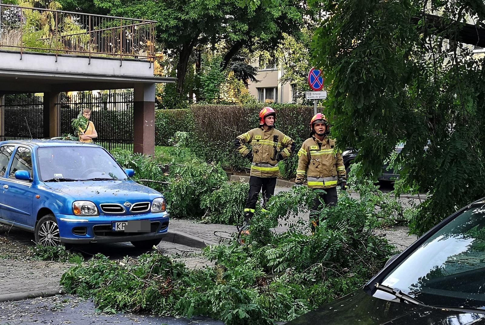 Kraków. Drzewo spadło na samochód. Trwa usuwanie szkód