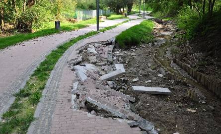 Sandomierz wciąż straszy. Zniszczenia w Parku Piszczele 