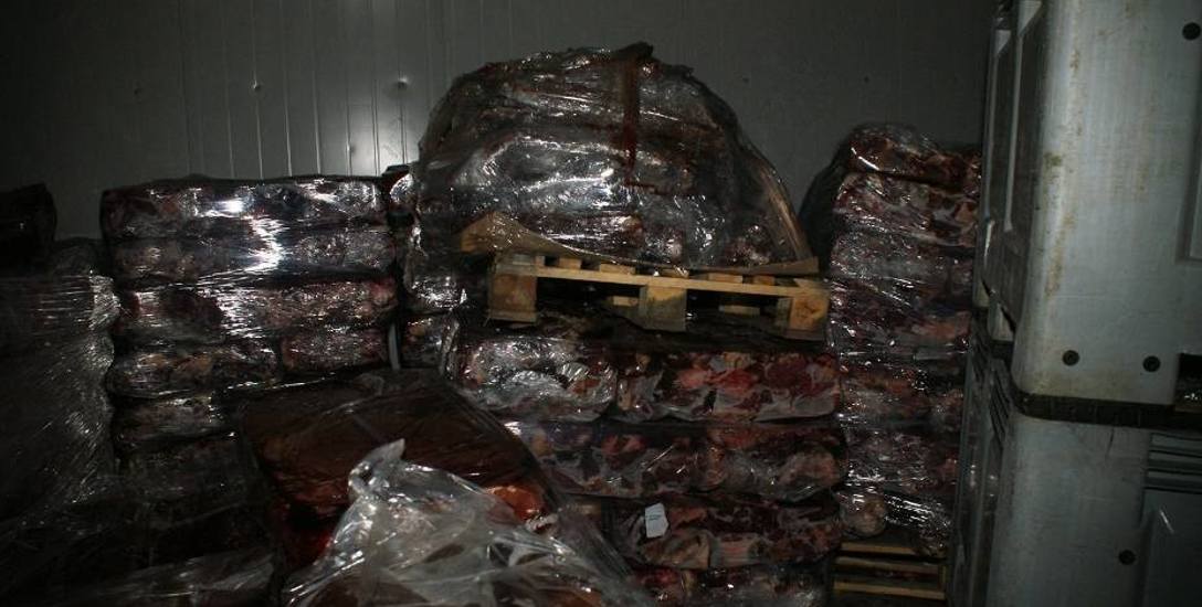 W mięsie z ubojni w Rosławowicach wykryto między innymi antybiotyki, które podawano chorym krowom