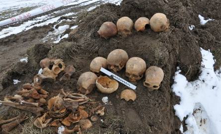 Ludzkie czaszki i kości wykopano na budowie! (zdjęcia, wideo)