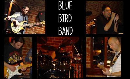 Grupa Blue Bird Band.