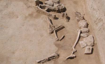 Odsłaniają świat sprzed tysięcy lat - ciekawe odkrycia archeologiczne pod Sandomierzem