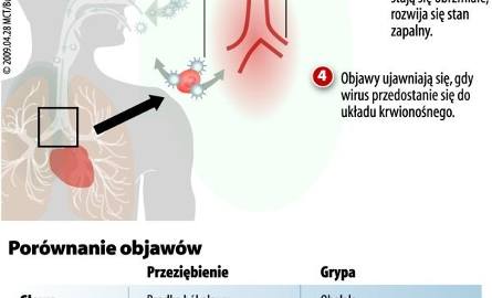Jak dochodzi do zakażenia grypą