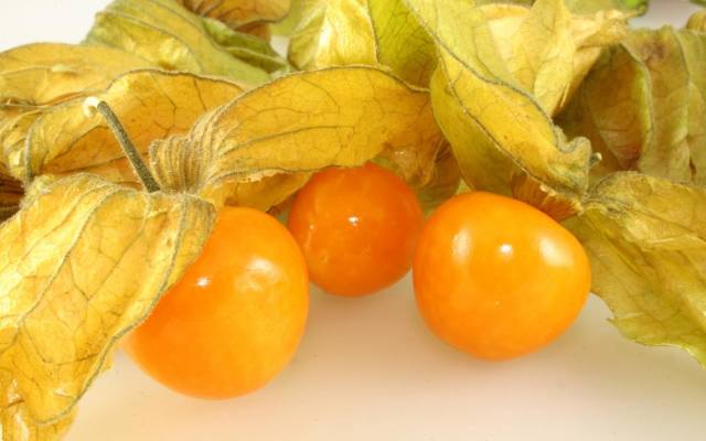 Owoce miechunki wyglądają bardzo zachęcająco - są pomarańczowe i okrągłe. Po przecięciu przypominają miąższ pomidora. W smaku owoce miechunki są sło