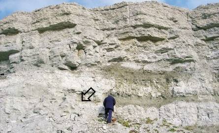 Wierzbica - widok fragmentu ściany kamieniołomu. Miejsce znalezienia tropów pterozaurów oznaczono strzałką.