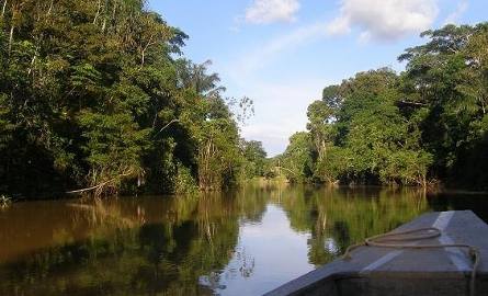 W rzece Nanay, ok. 40 km od peruwiańskiego Iquitos można spotkać anakondy.