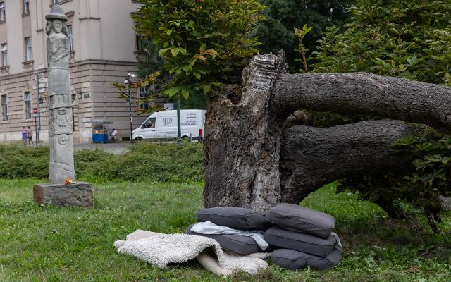 Alarm! Próba zasiedzenia działki pod samymi murami Wawelu! A tak serio to kto zostawił ten śmietnik, bo wstyd!?