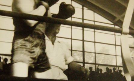 Ludwik Algierd w ringu.
