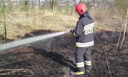Strażacy z Kozienic wyliczyli, że średni czas trwania akcji związanej z gaszeniem pożarów traw wynosi 55
