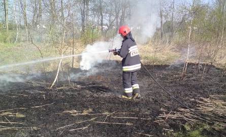 Straty wynikające z tegorocznych pożarów traw wynoszą w powiecie kozienickim 1 milion 610 tysięcy złotych.
