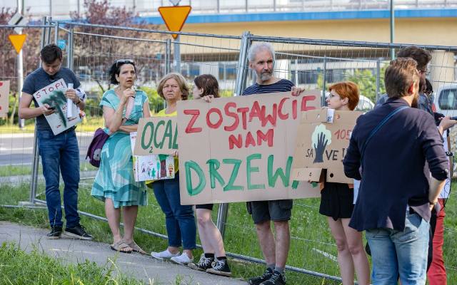 To był głośny protest w Krakowie przeciwko wycince drzew. Straszono 