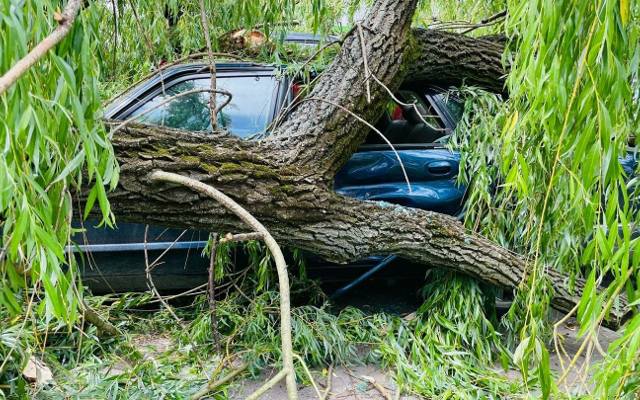 Silny wiatr w Krakowie łamał drzewa jak zapałki. Samochody na Placu Na Stawach zostały uszkodzone. IMGW ostrzega