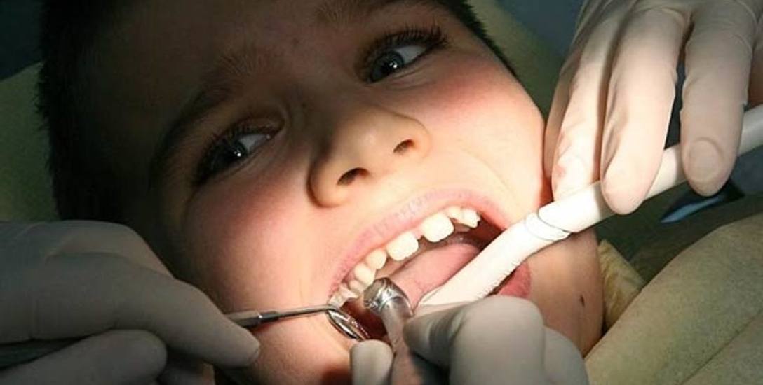 Dentyści z dentobusa: Są dzieci, które zęby myją tylko w sobotę 